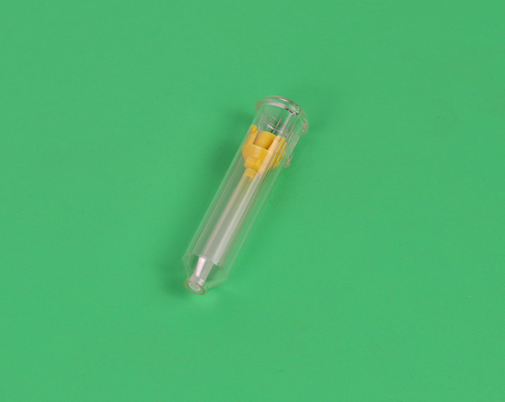 �X�������