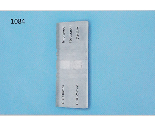 ӛ��(sh��)��